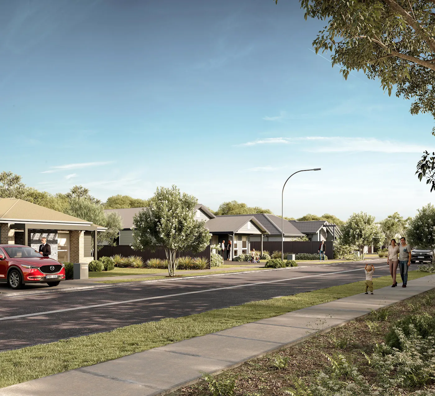 Everdene Rosella-Rise Rosella