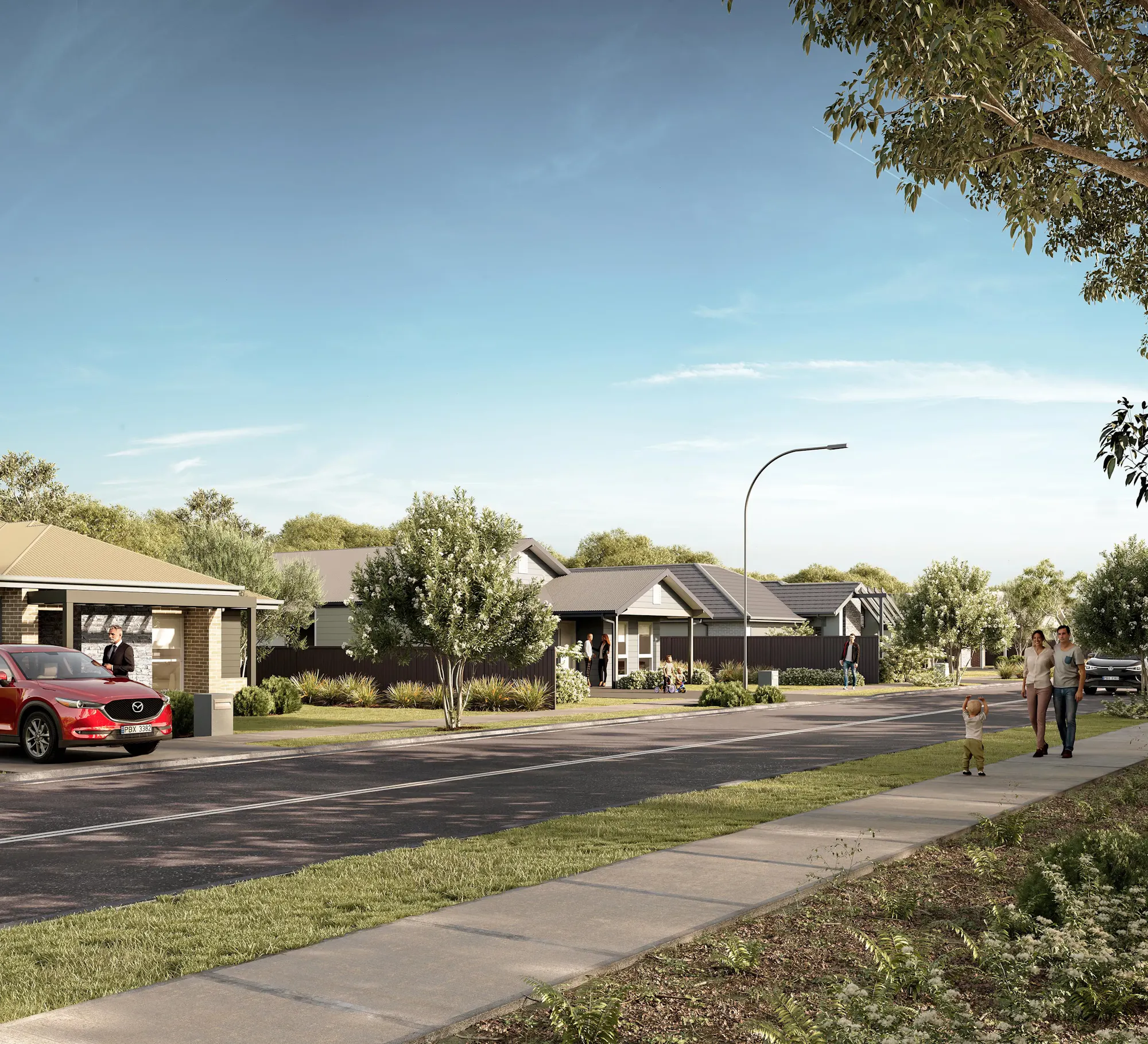 Everdene Rosella-Rise Rosella