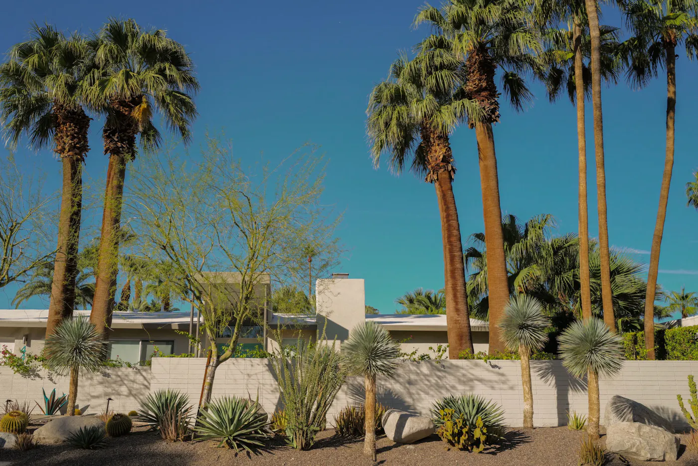 nsw Blogs Stock-Images taylor-simpson-dqYn6U30BsE-unsplash-edited